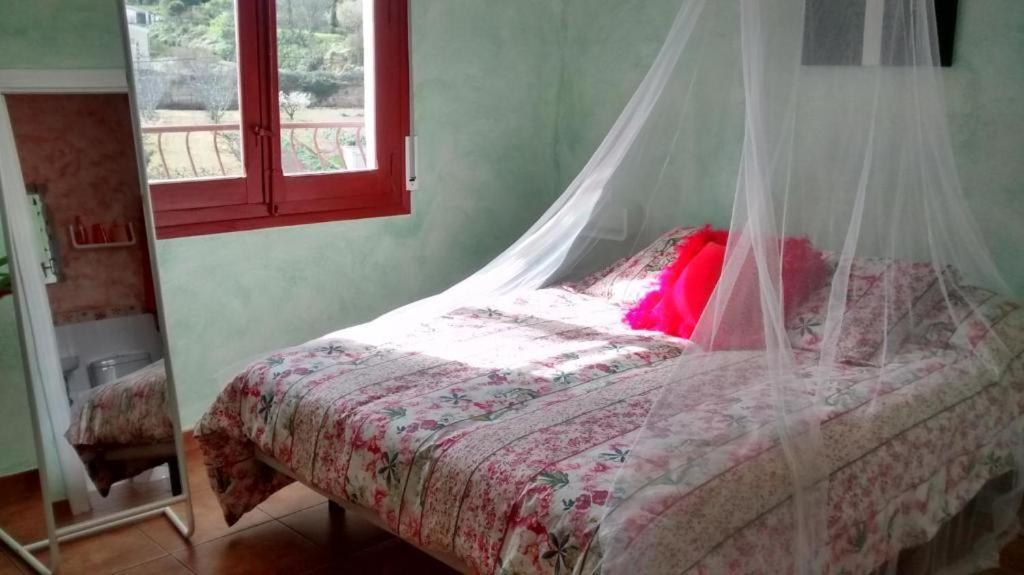 Hostal A La Sombra Del Laurel 나바레테 외부 사진